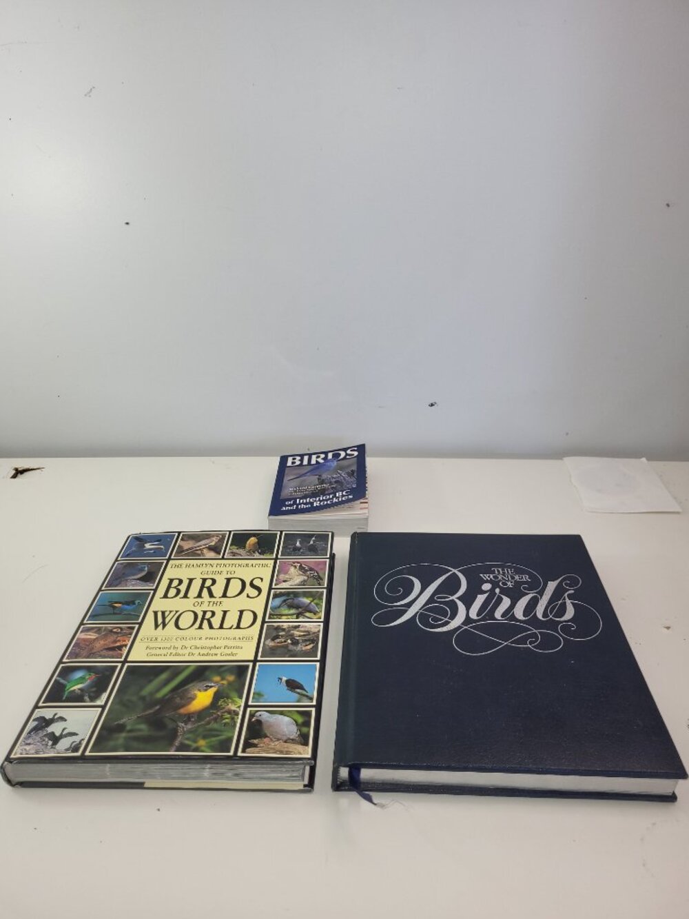 Bird Book Lot 3 Vintage Bird Books Nature Wildlife Coffee Table Books - Picture 7 of 9